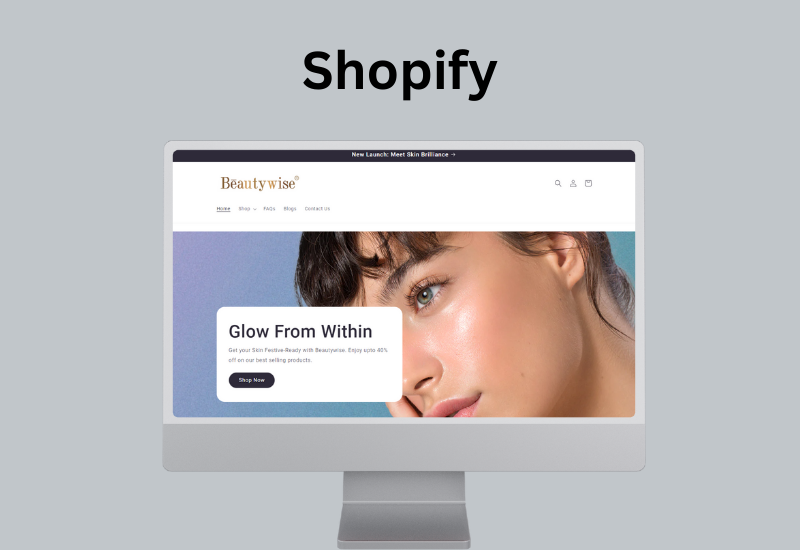 Shopify Ecommerce Portfolio