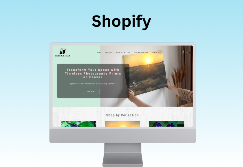 Shopify Ecommerce Portfolio