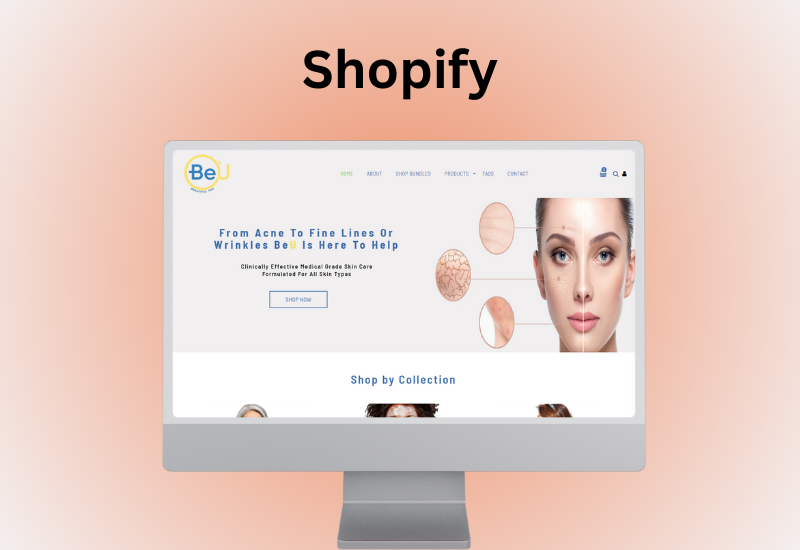 Shopify Ecommerce Portfolio